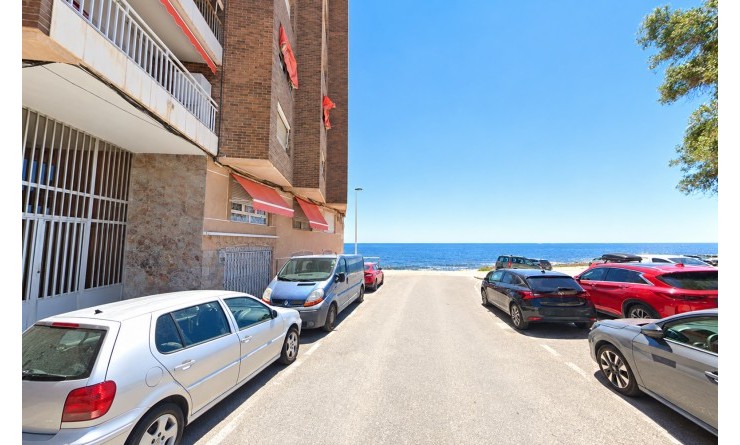 Apartment / Duplex - Sale - Torrevieja - Torrevieja