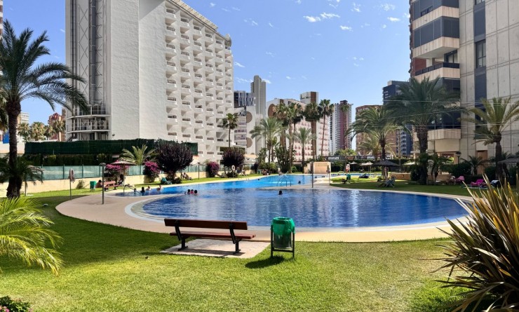 Apartment / flat - Sale - Benidorm - Levante