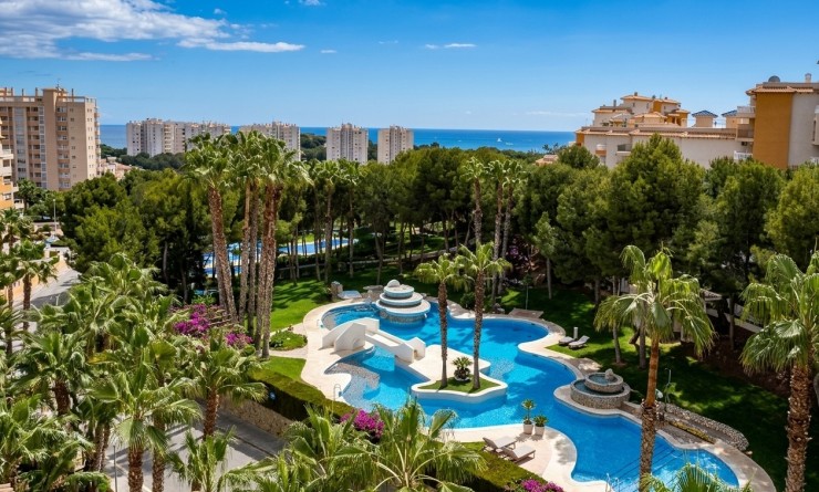 Apartment / flat - Sale - Orihuela Costa - Dehesa de campoamor