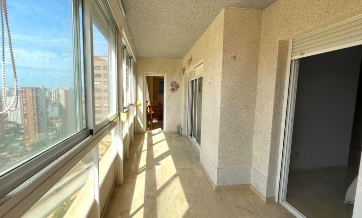 Apartment / flat - Wederverkoop - Benidorm - Centro