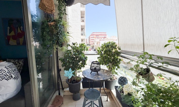 Apartment / flat - Wederverkoop - Torrevieja - Centro