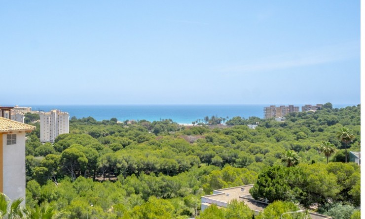 Apartment - Sale - Dehesa de Campoamor - Dehesa de Campoamor