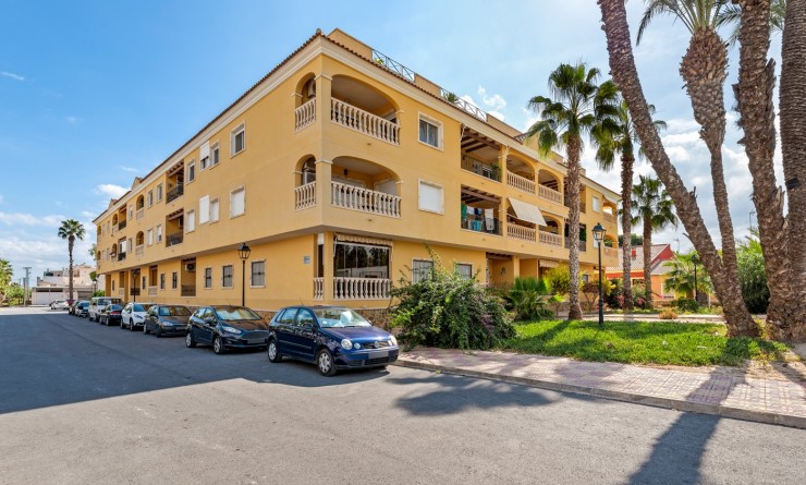 Apartment - Sale - Jacarilla - Jacarilla