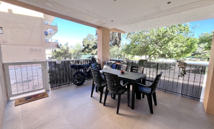 Apartment - Sale - La Mata - La Mata