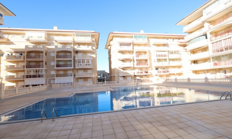 Apartment - Sale - La Mata - La Mata