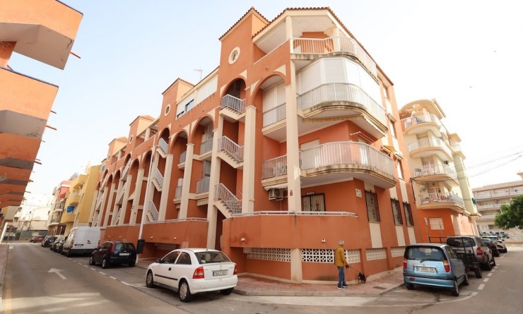 Apartment - Sale - La Mata - La Mata