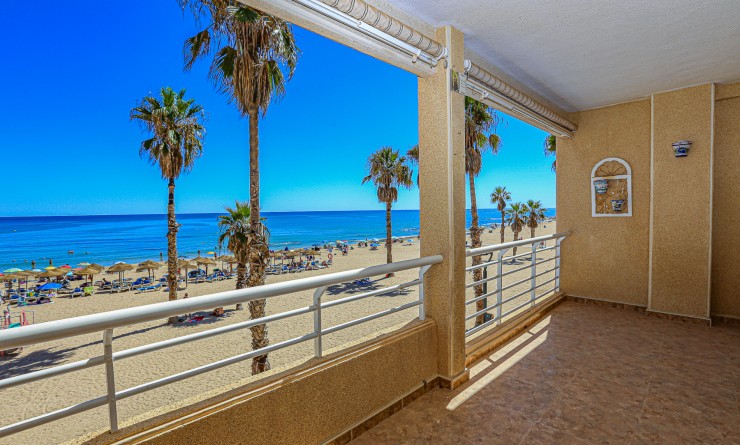 Apartment - Sale - La Mata - La Mata