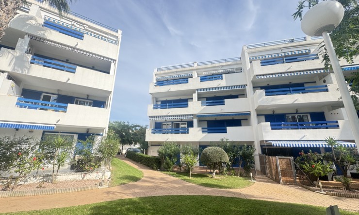Apartment - Sale - Playa Flamenca - Playa Flamenca