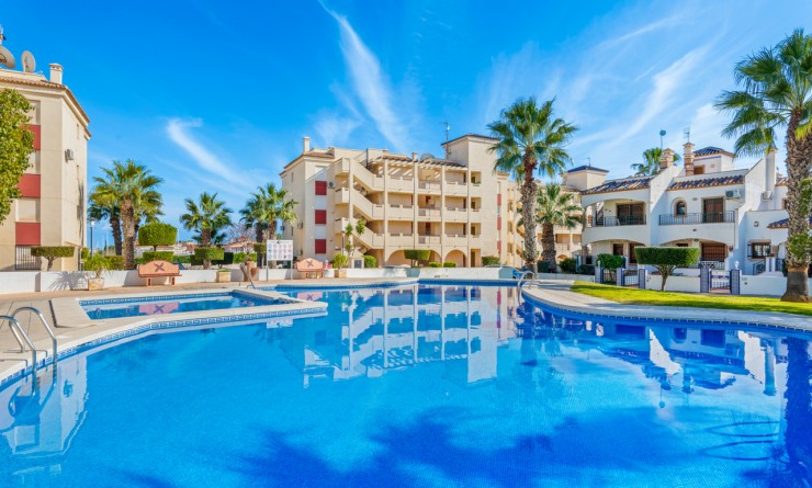 Apartment - Sale - Playa Flamenca - Playa Flamenca