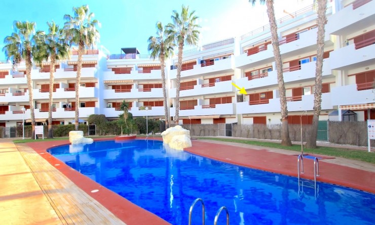 Apartment - Sale - Playa Flamenca - Playa Flamenca