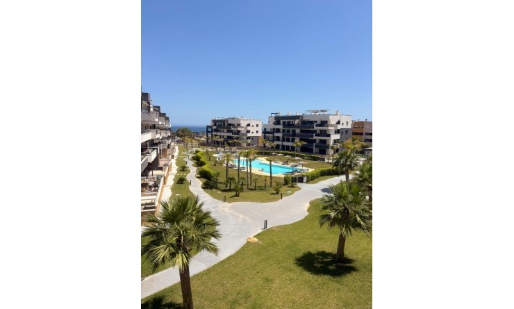 Apartment - Sale - Playa Flamenca - Playa Flamenca