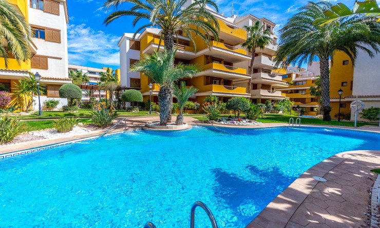 Apartment - Sale - Punta Prima - Punta Prima