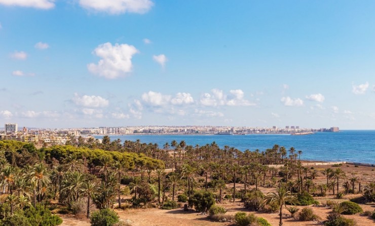 Apartment - Sale - Punta Prima - Punta Prima