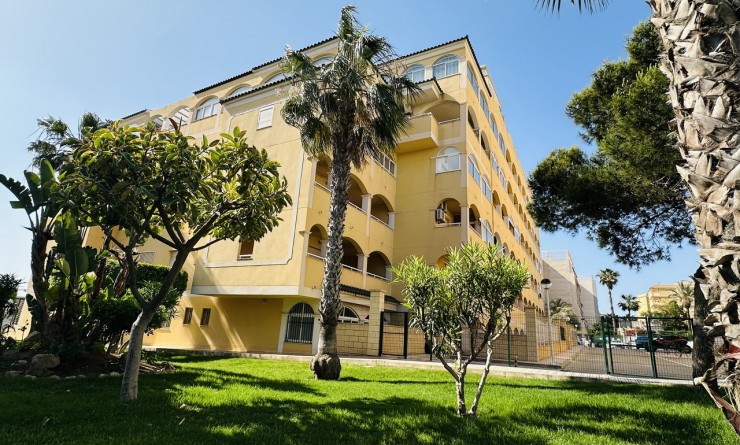 Apartment - Sale - Torrevieja - torrevieja