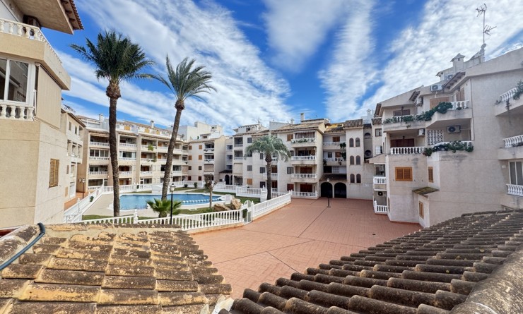 Apartment - Sale - Torrevieja - torrevieja