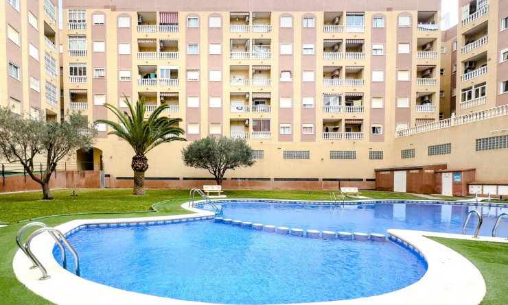 Apartment - Sale - Torrevieja - torrevieja