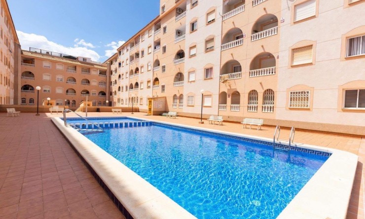 Apartment - Sale - Torrevieja - torrevieja