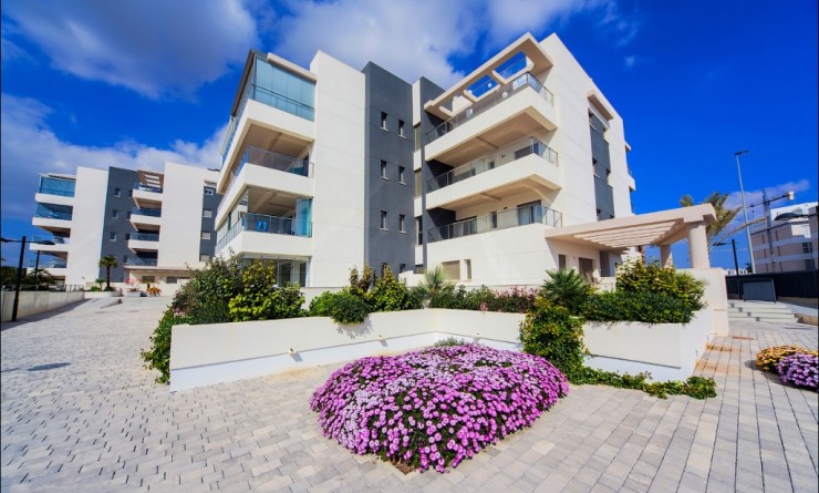 Appartement - Nouvelle construction - Villamartín - Villamartín