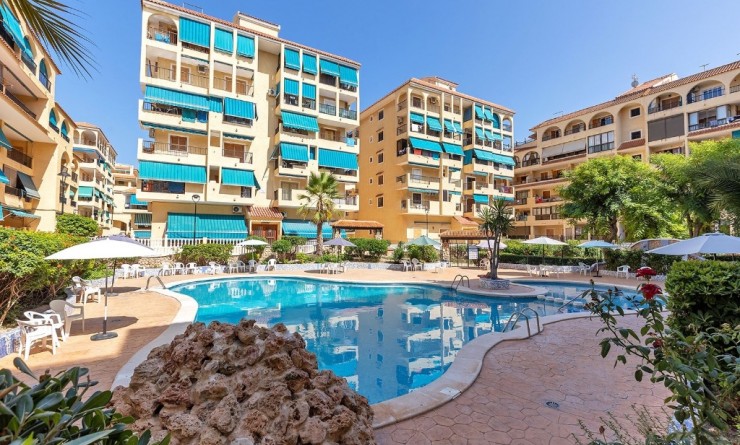 Appartement - Revente - La Mata - La Mata