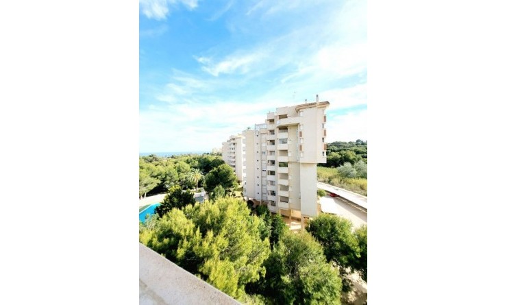 Appartement - Wederverkoop - Dehesa de Campoamor - Dehesa de Campoamor