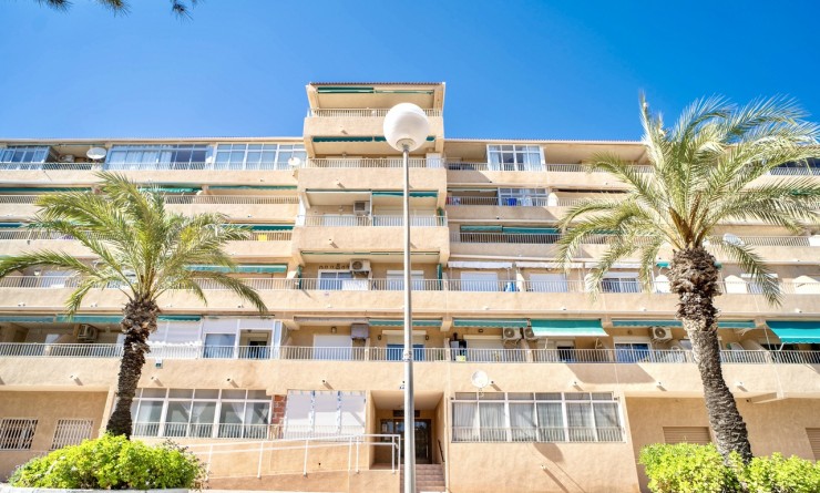 Appartement - Wederverkoop - Guardamar del Segura - guardamar del segura