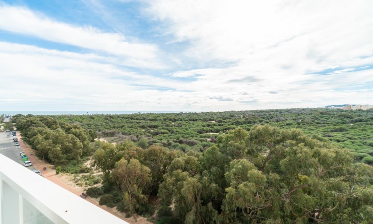 Appartement - Wederverkoop - Guardamar del Segura - Puerto Deportivo