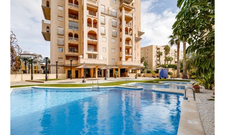 Appartement - Wederverkoop - Torrevieja - torrevieja