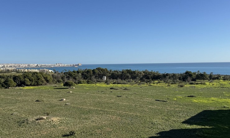 Attique - Revente - Punta Prima - 