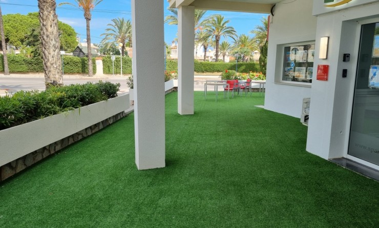 Building Plot - Wederverkoop - Cabo Roig - Cabo Roig