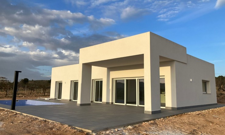 Detached - Nouvelle construction - Pinoso - Pinoso