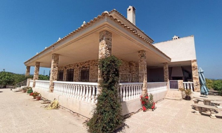 Finca Country Property - Wederverkoop - San Miguel de Salinas - San Miguel de Salinas