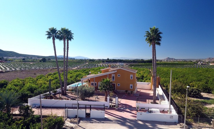 Finca - Revente - Orihuela - Orihuela