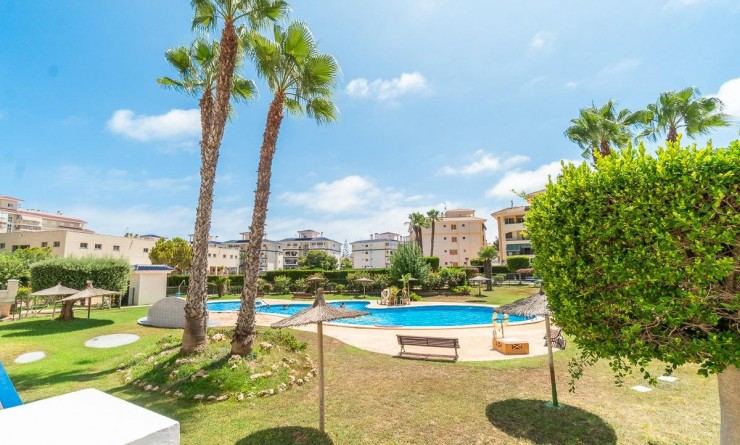 Flat - Long time Rental - Torrevieja - La Mata