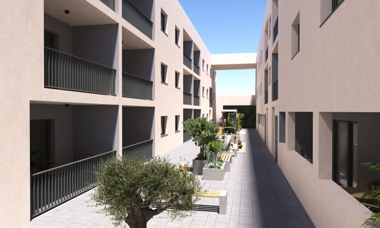 ground-floor - Nieuwbouw woningen - San Miguel de Salinas - San Miguel de Salinas