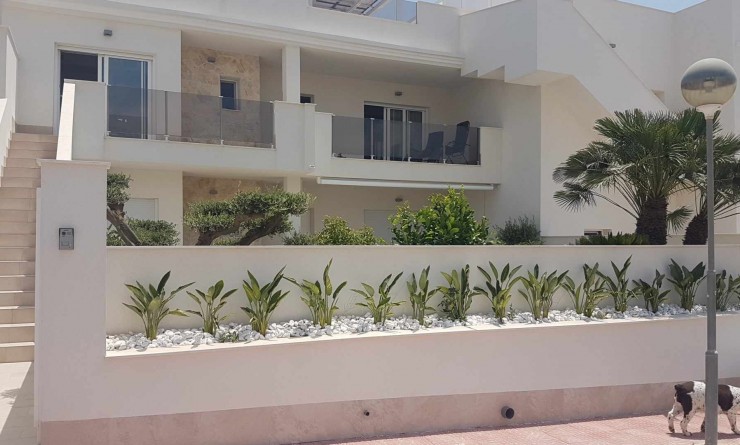Penthouse - Wederverkoop - Orihuela Costa - 