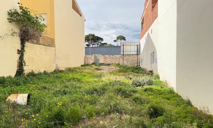 Plot / Land - Sale - Ondara - Ondara