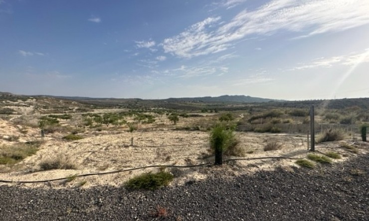 Plot of Land - Sale - Torremendo - Torremendo