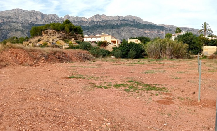 rustic plot - Revente - Altea - Altea