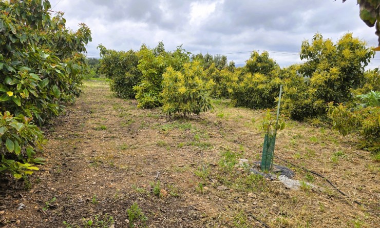 rustic plot - Wederverkoop - Pego - Pego