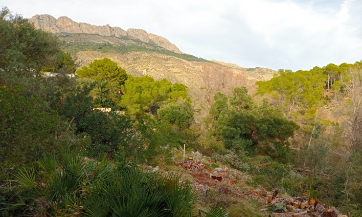 urban plot - Revente - Altea - Altea