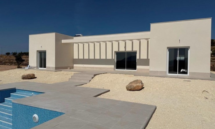 Villa - Nieuwbouw woningen - Pinoso - Camino Del Prado