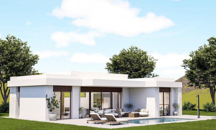 Villa - Nieuwbouw woningen - Pinoso - Lel