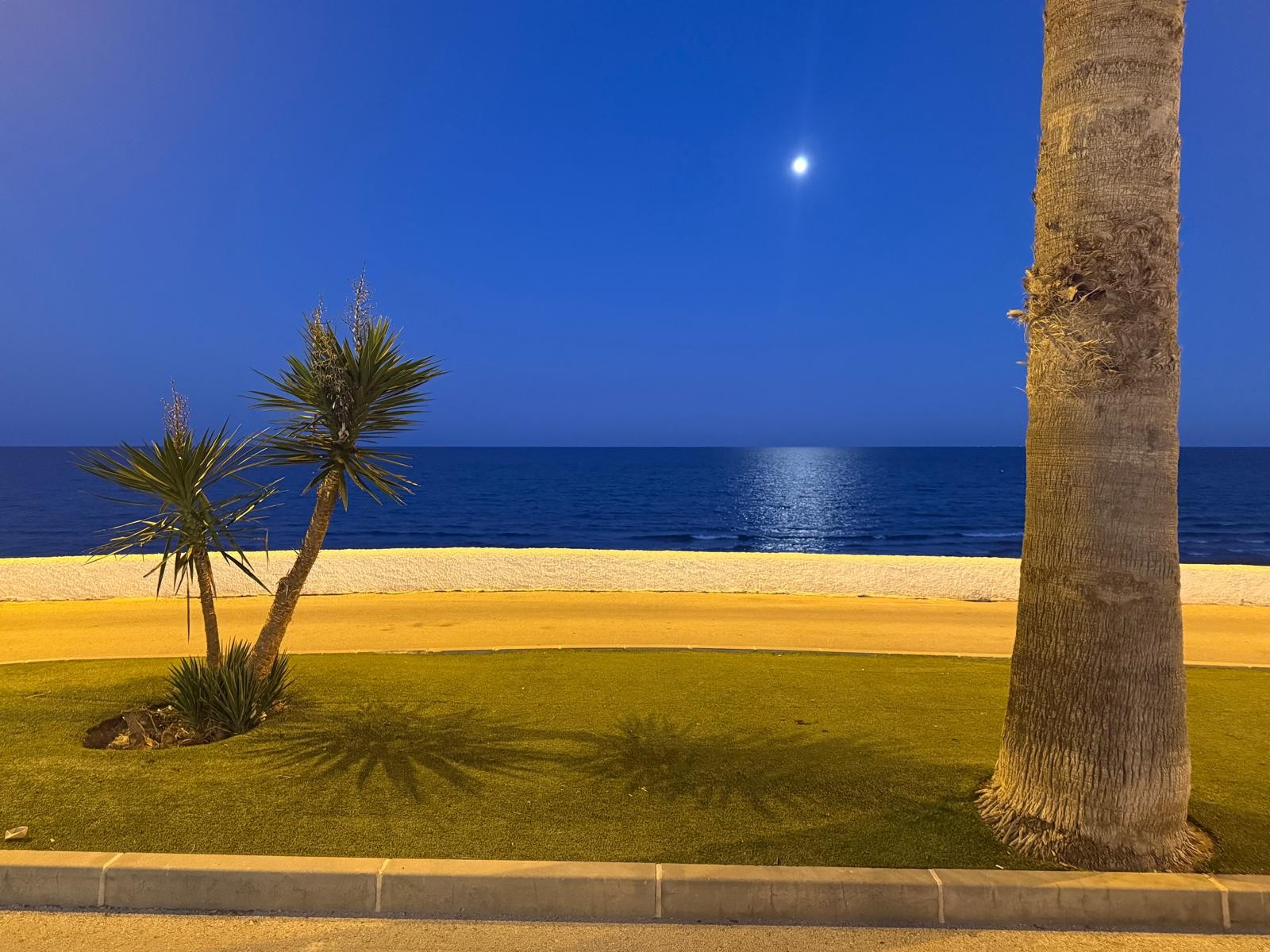 Bungalow · Herverkoop - Pilar de la Horadada · Mil Palmeras · Alicante · Spanje Bungalow · Herverkoop - Pilar de la Horadada · Mil Palmeras · Alicante · Spanje