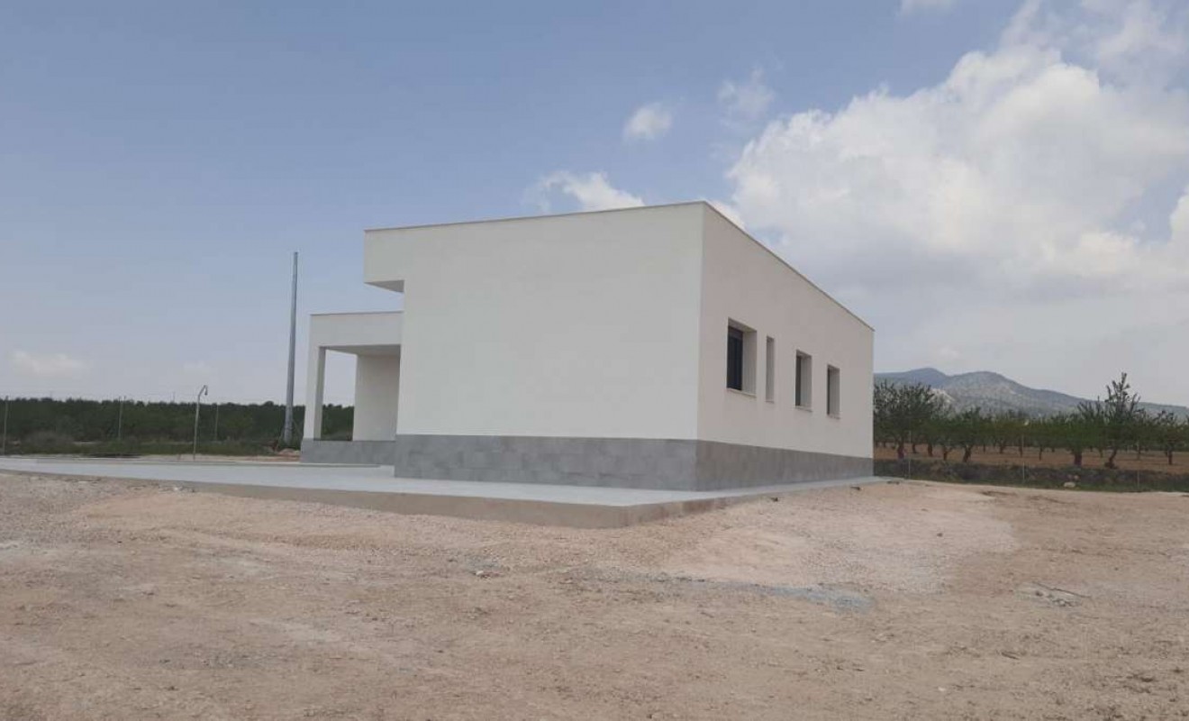 Nouvelle construction - Villa - Pinoso