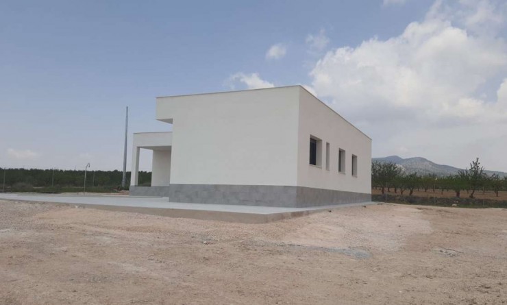 Nieuwbouw woningen - Villa - Pinoso