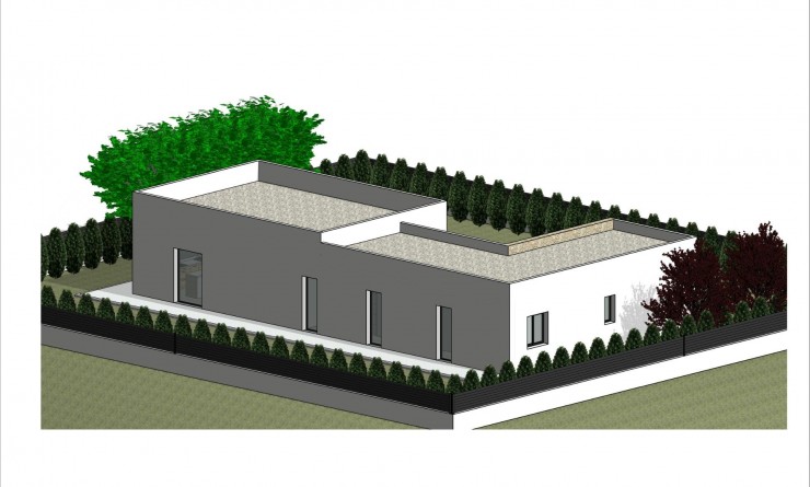 New Build - Villa - Pinoso - Lel