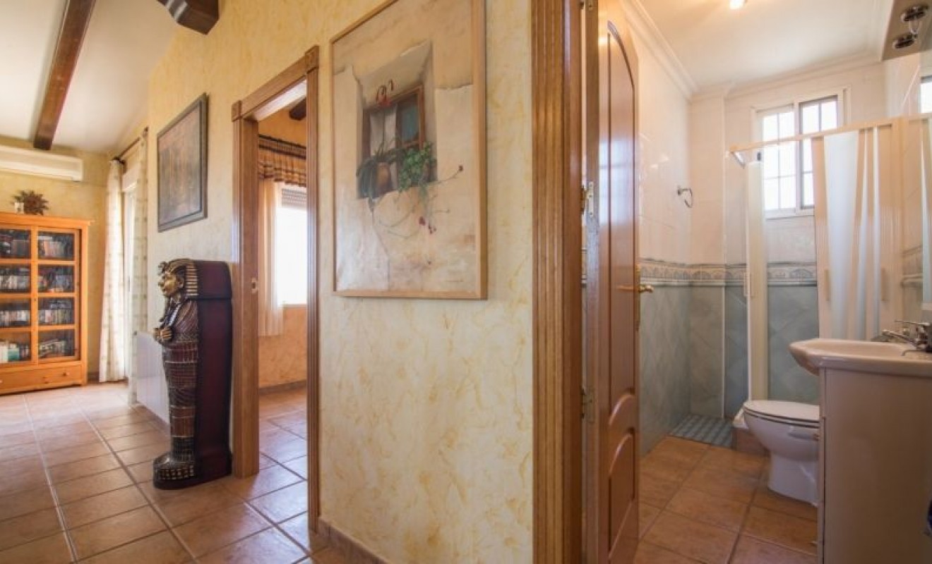 Sale - Villa - Crevillente