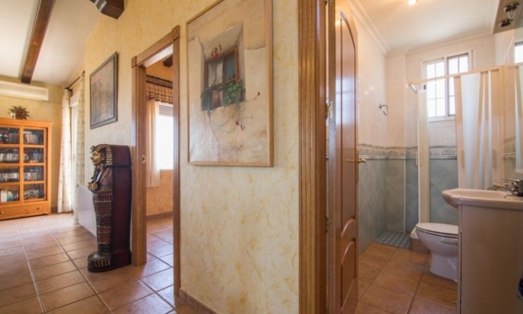 Sale - Villa - Crevillente