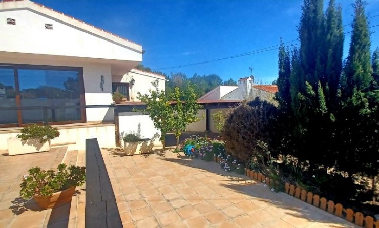 Sale - Villa - Pilar de la Horadada