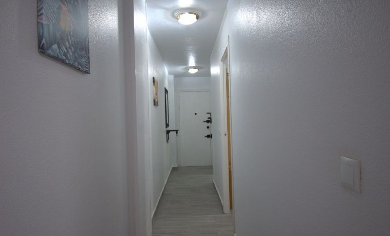 Wederverkoop - Appartement - Torrevieja - torrevieja